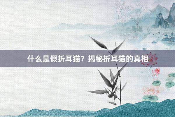 什么是假折耳猫？揭秘折耳猫的真相
