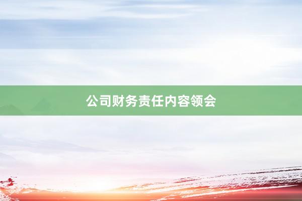 公司财务责任内容领会